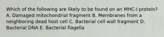 Which of the following are likely to be found on an MHC-I protein? A. Damaged mitochondrial fragment B. Membranes from a neighboring dead host cell C. Bacterial cell wall fragment D. Bacterial DNA E. Bacterial flagella