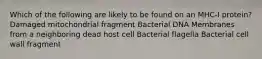 Which of the following are likely to be found on an MHC-I protein? Damaged mitochondrial fragment Bacterial DNA Membranes from a neighboring dead host cell Bacterial flagella Bacterial cell wall fragment