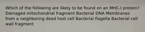 Which of the following are likely to be found on an MHC-I protein? Damaged mitochondrial fragment Bacterial DNA Membranes from a neighboring dead host cell Bacterial flagella Bacterial cell wall fragment