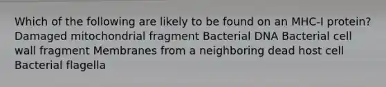 Which of the following are likely to be found on an MHC-I protein? Damaged mitochondrial fragment Bacterial DNA Bacterial cell wall fragment Membranes from a neighboring dead host cell Bacterial flagella