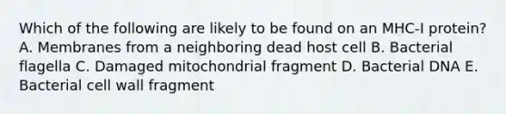 Which of the following are likely to be found on an MHC-I protein? A. Membranes from a neighboring dead host cell B. Bacterial flagella C. Damaged mitochondrial fragment D. Bacterial DNA E. Bacterial cell wall fragment