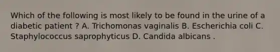 Which of the following is most likely to be found in the urine of a diabetic patient ? A. Trichomonas vaginalis B. Escherichia coli C. Staphylococcus saprophyticus D. Candida albicans .