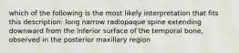 which of the following is the most likely interpretation that fits this description: long narrow radiopaque spine extending downward from the inferior surface of the temporal bone, observed in the posterior maxillary region