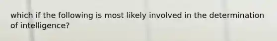 which if the following is most likely involved in the determination of intelligence?