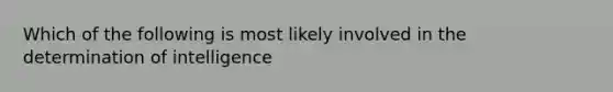 Which of the following is most likely involved in the determination of intelligence