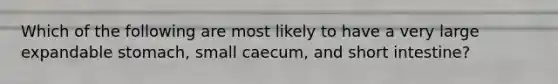 Which of the following are most likely to have a very large expandable stomach, small caecum, and short intestine?