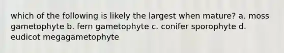 which of the following is likely the largest when mature? a. moss gametophyte b. fern gametophyte c. conifer sporophyte d. eudicot megagametophyte