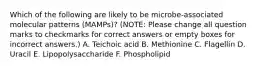 Which of the following are likely to be microbe-associated molecular patterns (MAMPs)? (NOTE: Please change all question marks to checkmarks for correct answers or empty boxes for incorrect answers.) A. Teichoic acid B. Methionine C. Flagellin D. Uracil E. Lipopolysaccharide F. Phospholipid