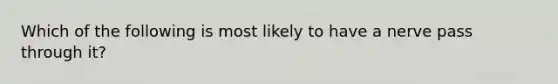 Which of the following is most likely to have a nerve pass through it?