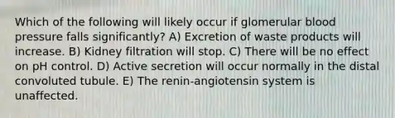 Which of the following will likely occur if glomerular blood pressure falls significantly? A) Excretion of waste products will increase. B) Kidney filtration will stop. C) There will be no effect on pH control. D) Active secretion will occur normally in the distal convoluted tubule. E) The renin-angiotensin system is unaffected.