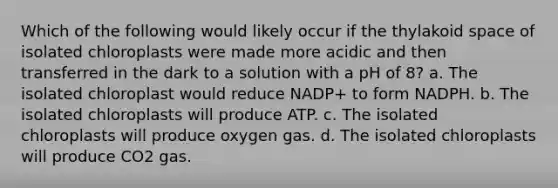 Which of the following would likely occur if the thylakoid space of isolated chloroplasts were made more acidic and then transferred in the dark to a solution with a pH of 8? a. The isolated chloroplast would reduce NADP+ to form NADPH. b. The isolated chloroplasts will produce ATP. c. The isolated chloroplasts will produce oxygen gas. d. The isolated chloroplasts will produce CO2 gas.