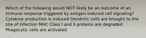 Which of the following would NOT likely be an outcome of an immune response triggered by antigen-induced cell signaling? Cytokine production is induced Dendritic cells are brought to the site of infection MHC Class I and II proteins are degraded Phagocytic cells are activated