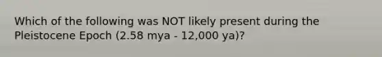 Which of the following was NOT likely present during the Pleistocene Epoch (2.58 mya - 12,000 ya)?