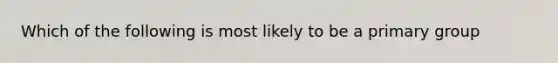 Which of the following is most likely to be a primary group