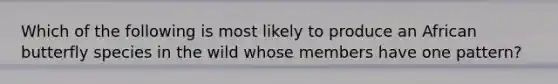 Which of the following is most likely to produce an African butterfly species in the wild whose members have one pattern?