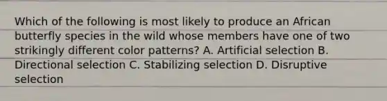 Which of the following is most likely to produce an African butterfly species in the wild whose members have one of two strikingly different color patterns? A. Artificial selection B. Directional selection C. Stabilizing selection D. Disruptive selection