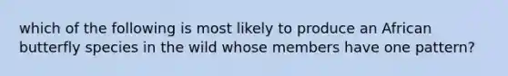 which of the following is most likely to produce an African butterfly species in the wild whose members have one pattern?