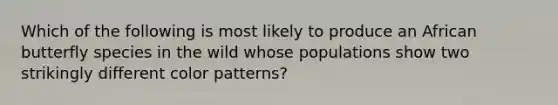 Which of the following is most likely to produce an African butterfly species in the wild whose populations show two strikingly different color patterns?