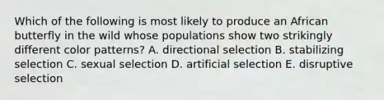 Which of the following is most likely to produce an African butterfly in the wild whose populations show two strikingly different color patterns? A. directional selection B. stabilizing selection C. sexual selection D. artificial selection E. disruptive selection