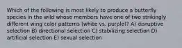 Which of the following is most likely to produce a butterfly species in the wild whose members have one of two strikingly different wing color patterns (white vs. purple)? A) disruptive selection B) directional selection C) stabilizing selection D) artificial selection E) sexual selection