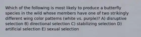 Which of the following is most likely to produce a butterfly species in the wild whose members have one of two strikingly different wing color patterns (white vs. purple)? A) disruptive selection B) directional selection C) stabilizing selection D) artificial selection E) sexual selection