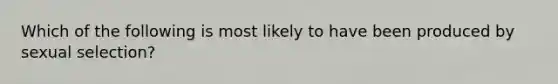 Which of the following is most likely to have been produced by sexual selection?