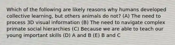 Which of the following are likely reasons why humans developed collective learning, but others animals do not? (A) The need to process 3D visual information (B) The need to navigate complex primate social hierarchies (C) Because we are able to teach our young important skills (D) A and B (E) B and C