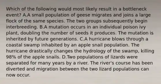 Which of the following would most likely result in a bottleneck event? A.A small population of geese migrates and joins a large flock of the same species. The two groups subsequently begin interbreeding. B.A mutation occurs in an individual poison ivy plant, doubling the number of seeds it produces. The mutation is inherited by future generations. C.A hurricane blows through a coastal swamp inhabited by an apple snail population. The hurricane drastically changes the hydrology of the swamp, killing 98% of the apple snails. D.Two populations of lizards were separated for many years by a river. The river's course has been diverted and migration between the two lizard populations can now occur.