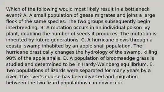 Which of the following would most likely result in a bottleneck event? A. A small population of geese migrates and joins a large flock of the same species. The two groups subsequently begin interbreeding. B. A mutation occurs in an individual poison ivy plant, doubling the number of seeds it produces. The mutation is inherited by future generations. C. A hurricane blows through a coastal swamp inhabited by an apple snail population. The hurricane drastically changes the hydrology of the swamp, killing 98% of the apple snails. D. A population of broomsedge grass is studied and determined to be in Hardy-Weinberg equilibrium. E. Two populations of lizards were separated for many years by a river. The river's course has been diverted and migration between the two lizard populations can now occur.