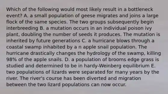 Which of the following would most likely result in a bottleneck event? A. a small population of geese migrates and joins a large flock of the same species. The two groups subsequently begin interbreeding B. a mutation occurs in an individual poison ivy plant, doubling the number of seeds it produces. The mutation is inherited by future generations C. a hurricane blows through a coastal swamp inhabited by a n apple snail population. The hurricane drastically changes the hydrology of the swamp, killing 98% of the apple snails. D. a population of brooms edge grass is studied and determined to be in hardy-Weinberg equilibrium E. two populations of lizards were separated for many years by the river. The river's course has been diverted and migration between the two lizard populations can now occur.