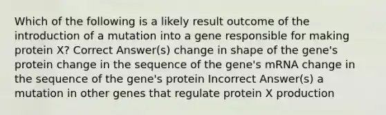 Which of the following is a likely result outcome of the introduction of a mutation into a gene responsible for making protein X? Correct Answer(s) change in shape of the gene's protein change in the sequence of the gene's mRNA change in the sequence of the gene's protein Incorrect Answer(s) a mutation in other genes that regulate protein X production