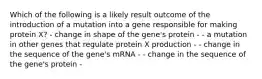 Which of the following is a likely result outcome of the introduction of a mutation into a gene responsible for making protein X? - change in shape of the gene's protein - - a mutation in other genes that regulate protein X production - - change in the sequence of the gene's mRNA - - change in the sequence of the gene's protein -