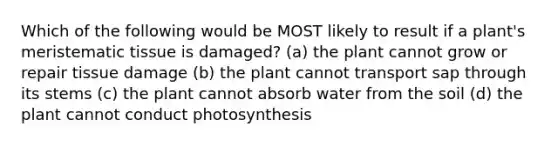 Which of the following would be MOST likely to result if a plant's meristematic tissue is damaged? (a) the plant cannot grow or repair tissue damage (b) the plant cannot transport sap through its stems (c) the plant cannot absorb water from the soil (d) the plant cannot conduct photosynthesis