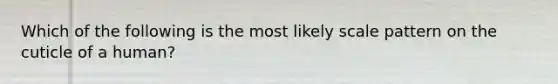 Which of the following is the most likely scale pattern on the cuticle of a human?