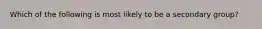 Which of the following is most likely to be a secondary group?