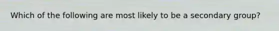 Which of the following are most likely to be a secondary group?