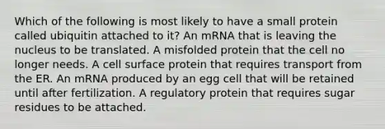 Which of the following is most likely to have a small protein called ubiquitin attached to it? An mRNA that is leaving the nucleus to be translated. A misfolded protein that the cell no longer needs. A cell surface protein that requires transport from the ER. An mRNA produced by an egg cell that will be retained until after fertilization. A regulatory protein that requires sugar residues to be attached.