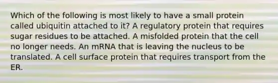 Which of the following is most likely to have a small protein called ubiquitin attached to it? A regulatory protein that requires sugar residues to be attached. A misfolded protein that the cell no longer needs. An mRNA that is leaving the nucleus to be translated. A cell surface protein that requires transport from the ER.