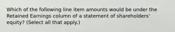 Which of the following line item amounts would be under the Retained Earnings column of a statement of shareholders' equity? (Select all that apply.)