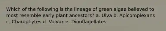 Which of the following is the lineage of green algae believed to most resemble early plant ancestors? a. Ulva b. Apicomplexans c. Charophytes d. Volvox e. Dinoflagellates