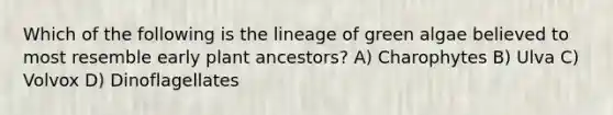 Which of the following is the lineage of green algae believed to most resemble early plant ancestors? A) Charophytes B) Ulva C) Volvox D) Dinoflagellates