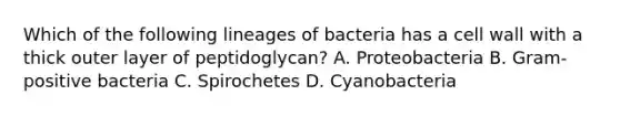 Which of the following lineages of bacteria has a cell wall with a thick outer layer of peptidoglycan? A. Proteobacteria B. Gram-positive bacteria C. Spirochetes D. Cyanobacteria