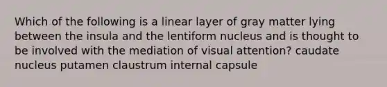 Which of the following is a linear layer of gray matter lying between the insula and the lentiform nucleus and is thought to be involved with the mediation of visual attention? caudate nucleus putamen claustrum internal capsule