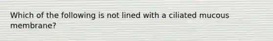 Which of the following is not lined with a ciliated mucous membrane?