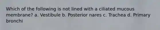 Which of the following is not lined with a ciliated mucous membrane? a. Vestibule b. Posterior nares c. Trachea d. Primary bronchi