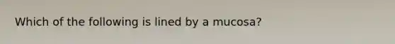 Which of the following is lined by a mucosa?