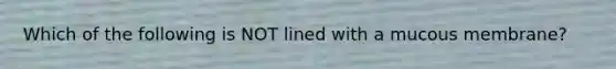 Which of the following is NOT lined with a mucous membrane?