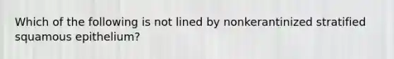 Which of the following is not lined by nonkerantinized stratified squamous epithelium?