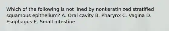 Which of the following is not lined by nonkeratinized stratified squamous epithelium? A. Oral cavity B. Pharynx C. Vagina D. Esophagus E. Small intestine