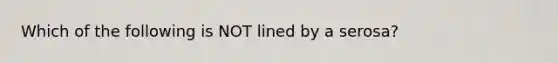 Which of the following is NOT lined by a serosa?